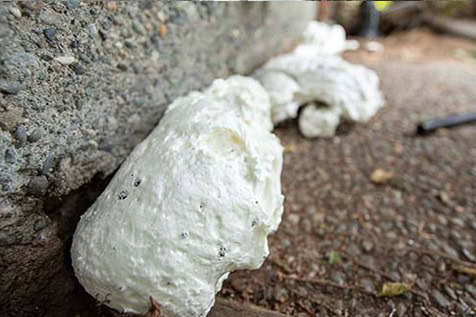 Expanding foam insulation, white and puffy in appearance, applied along the base of an exterior wall on a rough concrete and gravel surface.