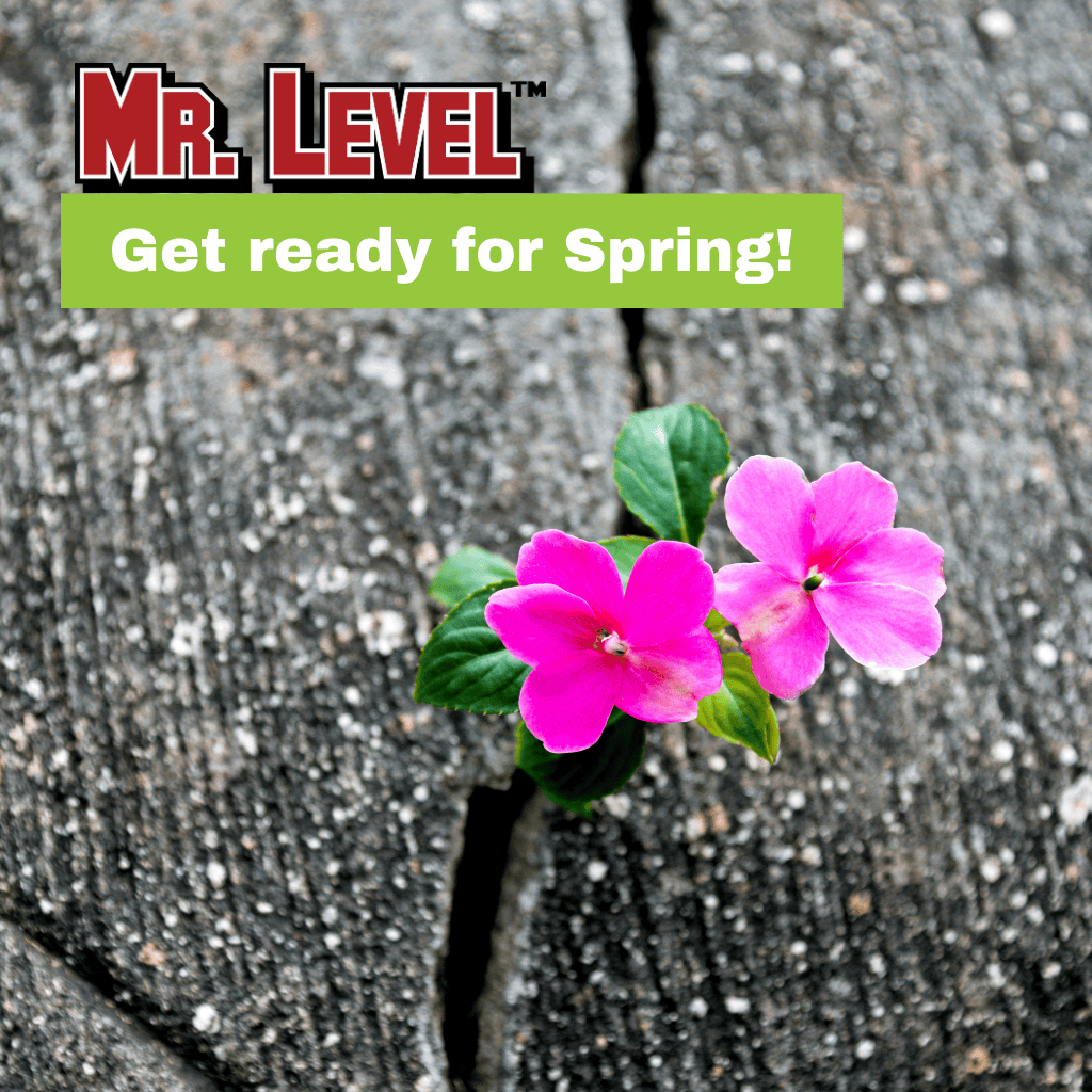 Two pink flowers with green leaves grow from a crack in weathered wood, with “Mr. Level” and “Get ready for Spring!” text above.