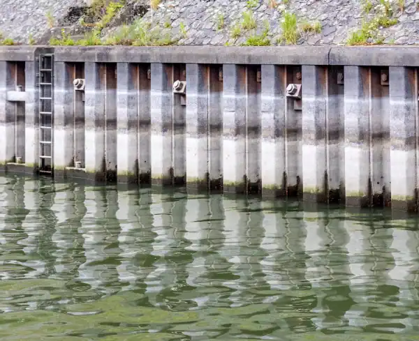 A sea wall bulkhead with water stains borders a body of water; a metal ladder is attached to the wall and vegetation grows on top.